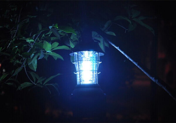 Camping Light – Bild 6