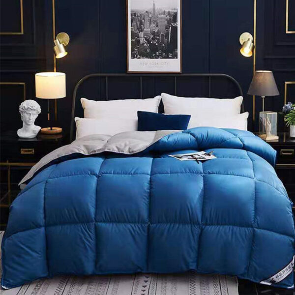 Down Duvet, Winter Duvet, Goose Down Duvet Core, Air Conditioner – Bild 6