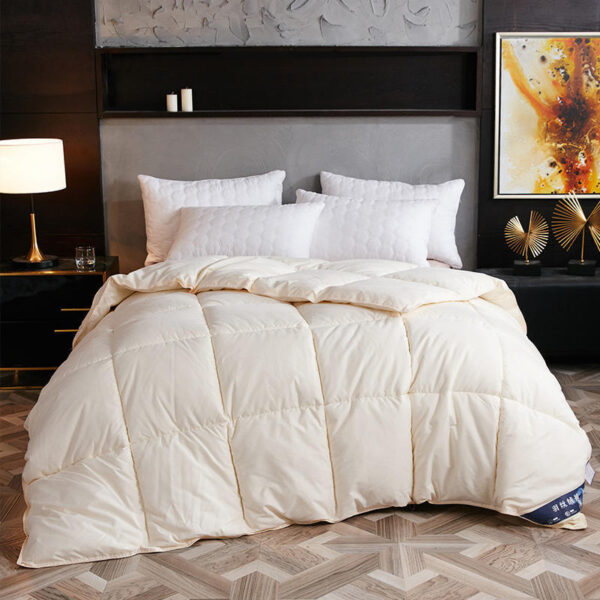 Down Duvet, Winter Duvet, Goose Down Duvet Core, Air Conditioner – Bild 4