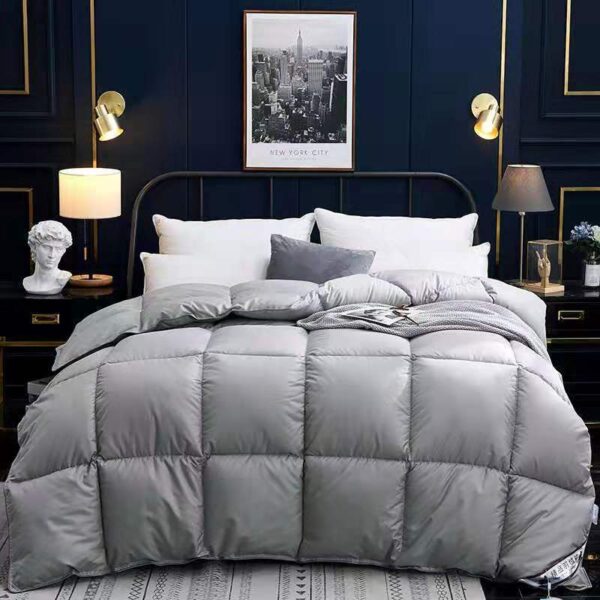 Down Duvet, Winter Duvet, Goose Down Duvet Core, Air Conditioner – Bild 5