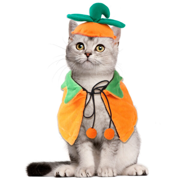 Halloween Pumpkin Double-sided Dog Cloak Cat Halloween Ornaments – Bild 4