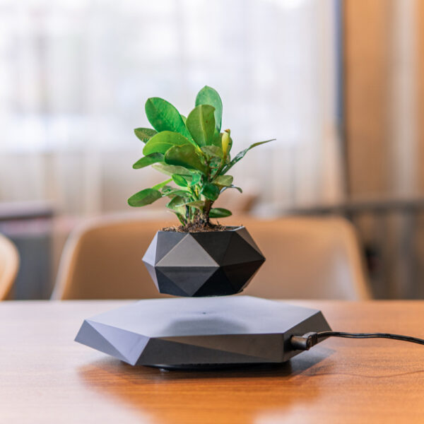 Floating Magnetic Levitating Flower Pot Bonsai Air Plant Pot Planter Potted For Home Office Desk Decor Creative Gift – Bild 7